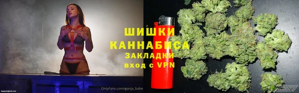 стаф Зеленокумск