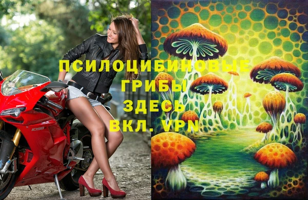 стаф Зеленокумск