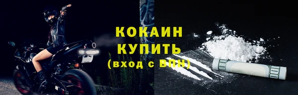стаф Зеленокумск