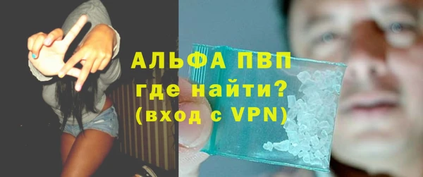 стаф Зеленокумск