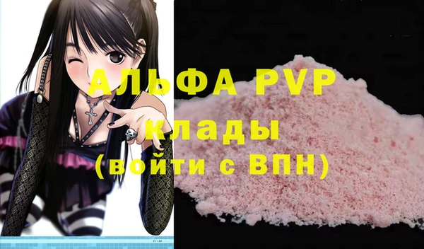 стаф Зеленокумск