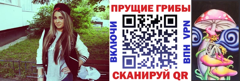 Псилоцибиновые грибы Cubensis  Купить где  Перевоз 